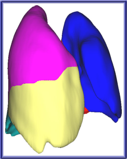 Normal Lung Image