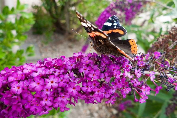 Domaine des Vallettes