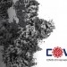 Second COVID Symposium Reveals Better Understanding of COVID-19 